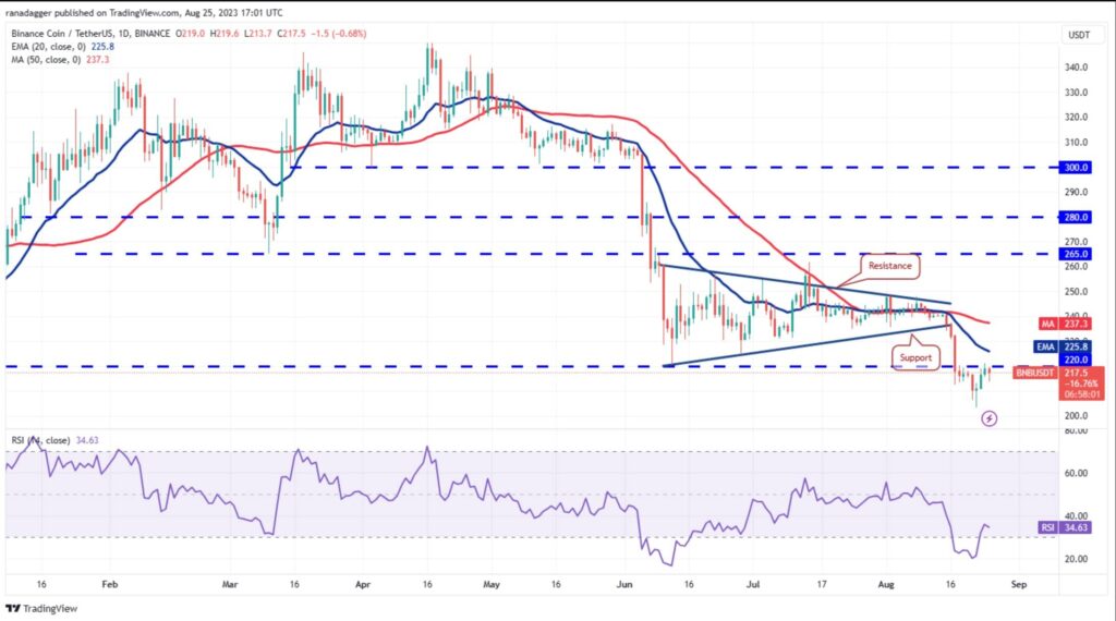 نمودار روزانه BNB/USDT