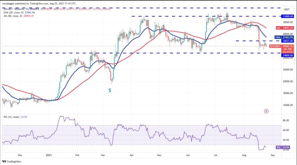 نمودار روزانه BTC/USDT