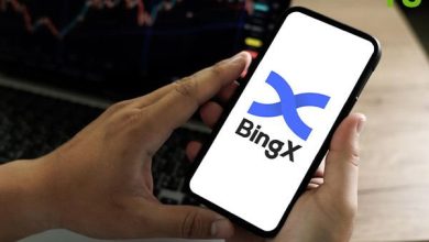 آموزش صرافی Bingx از ثبت نام تا خرید و فروش ارز دیجیتال